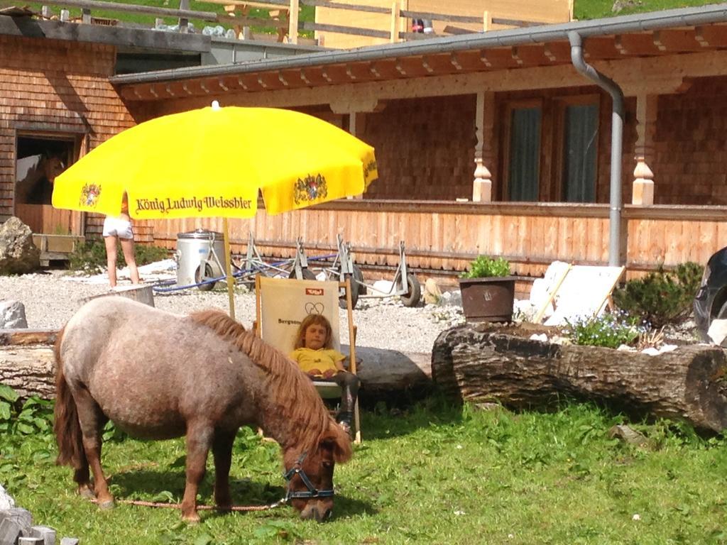 Binsalm- Schutzhuette Farm stay Vomp